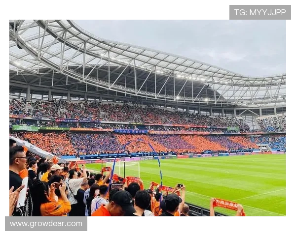 波黑足协呼吁球迷附加赛冷静观赛