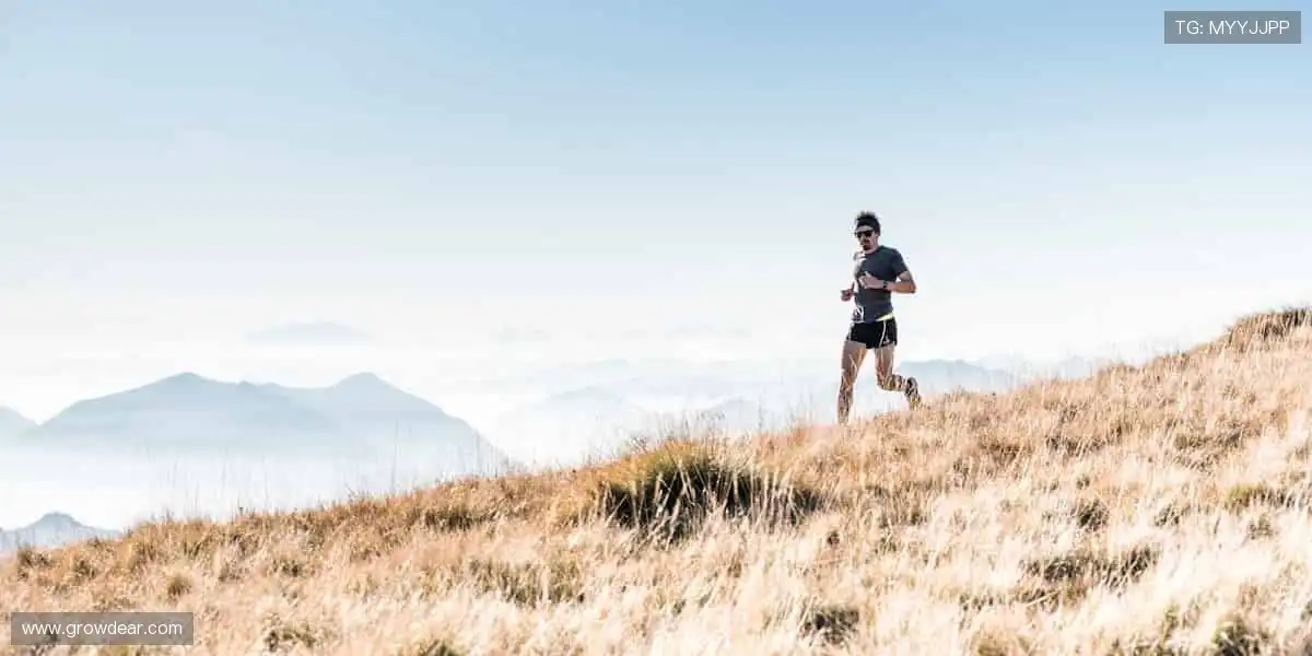🎁 热爱永不缺席！官方正品周边，把偶像的力量穿在身上，握在手里！